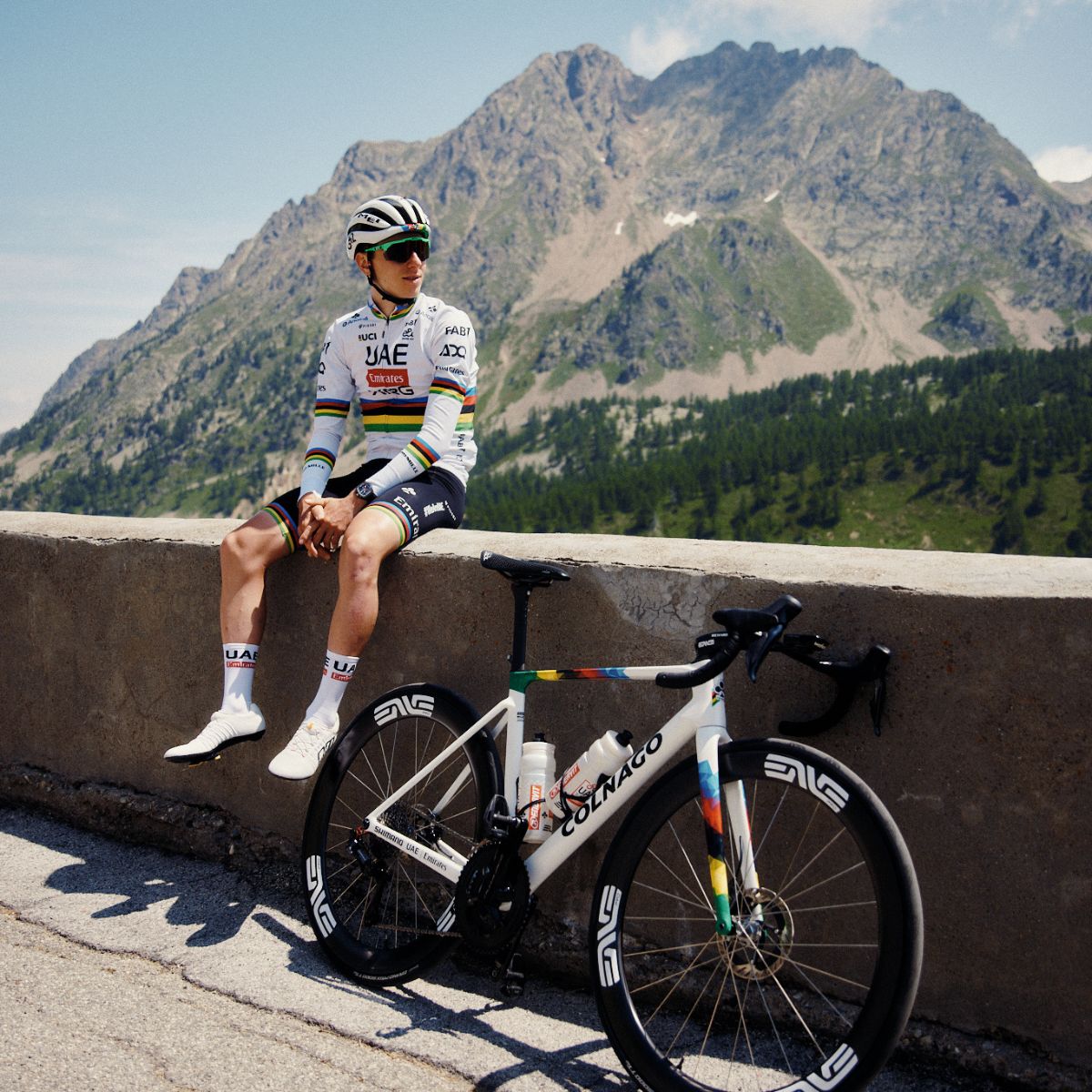ENVE - SES 4.5 PRO WHEELS