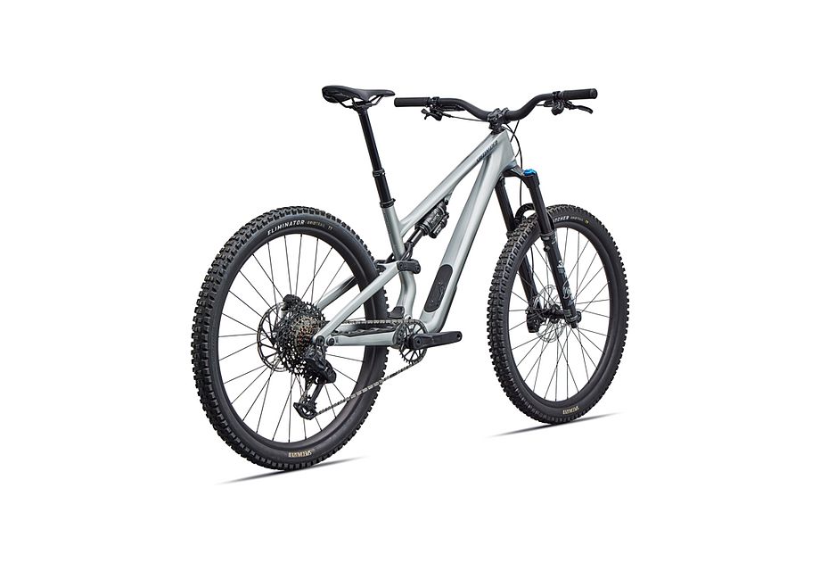 Stumpjumper 15 EVO Comp