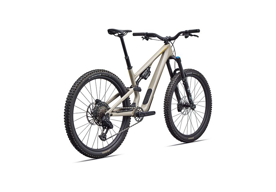 Stumpjumper 15 EVO Comp