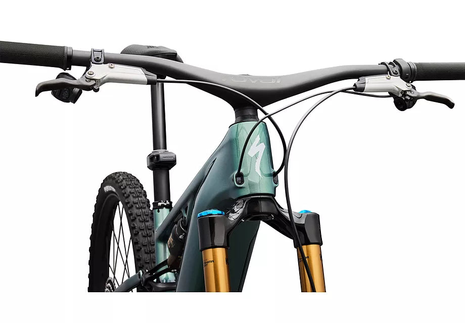 S-Works Turbo Levo R