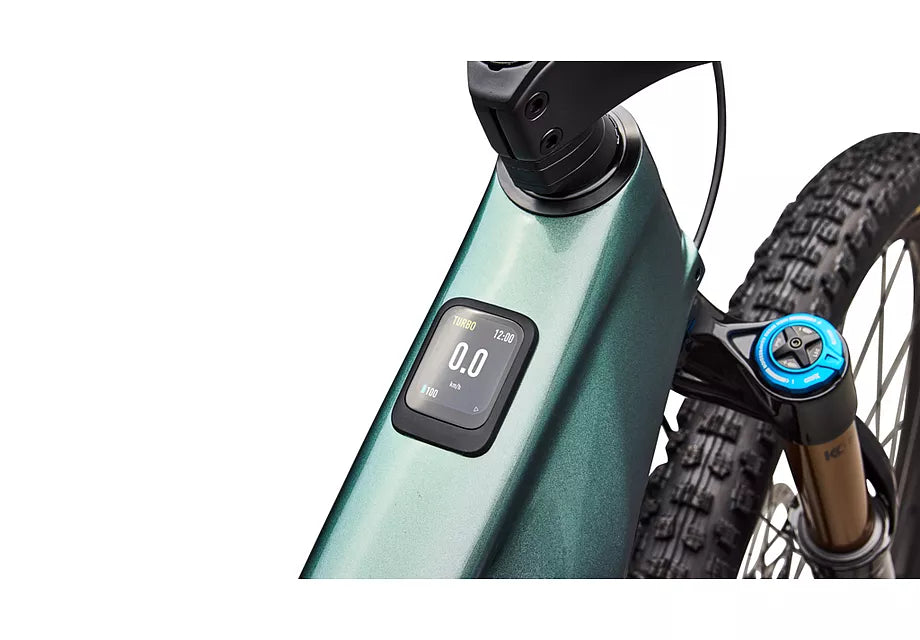 S-Works Turbo Levo R