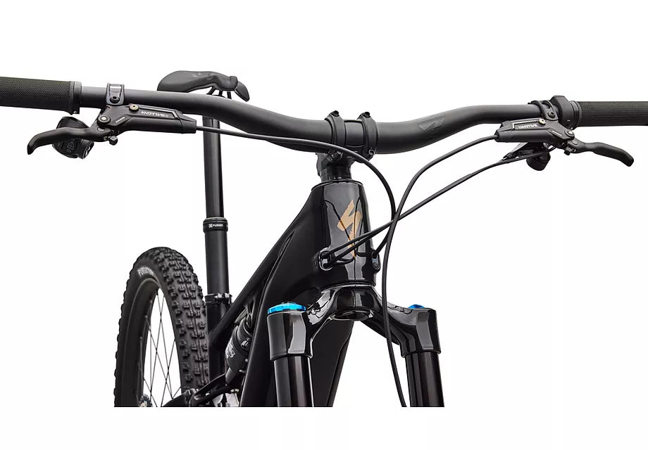 Turbo Levo R Expert