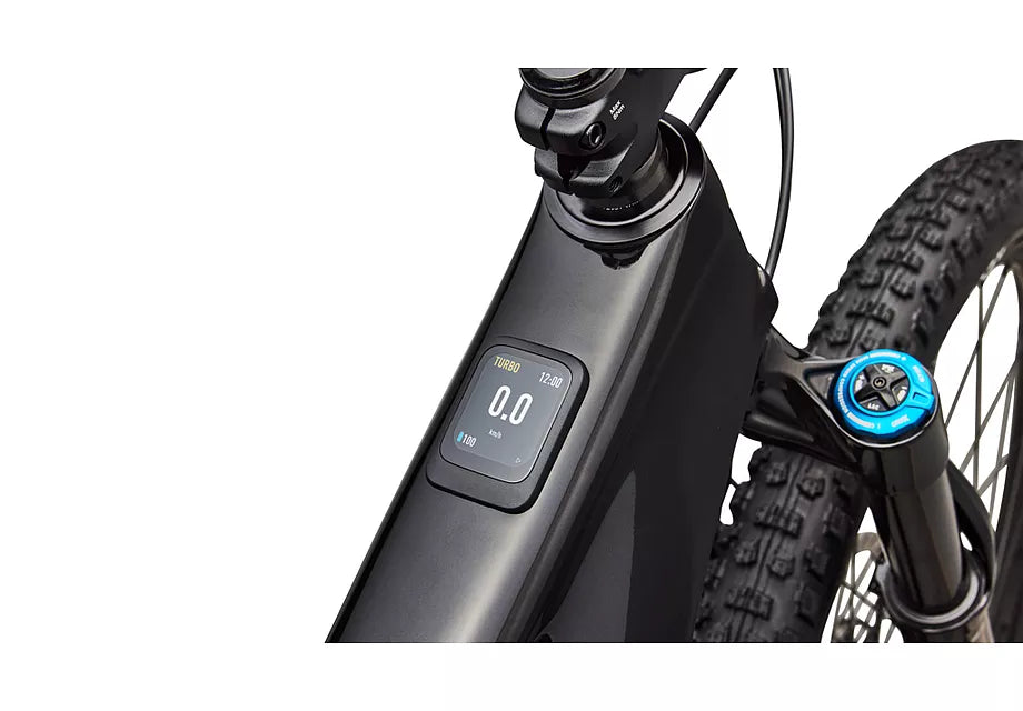Turbo Levo R Expert